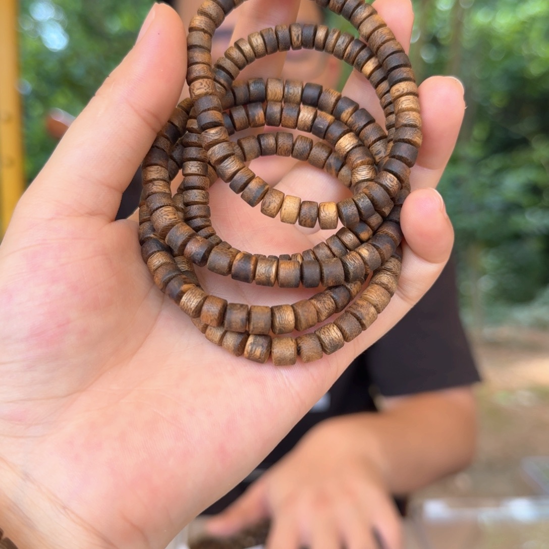 沉香沉香碎屑乌身圆叶算盘 多样性发一