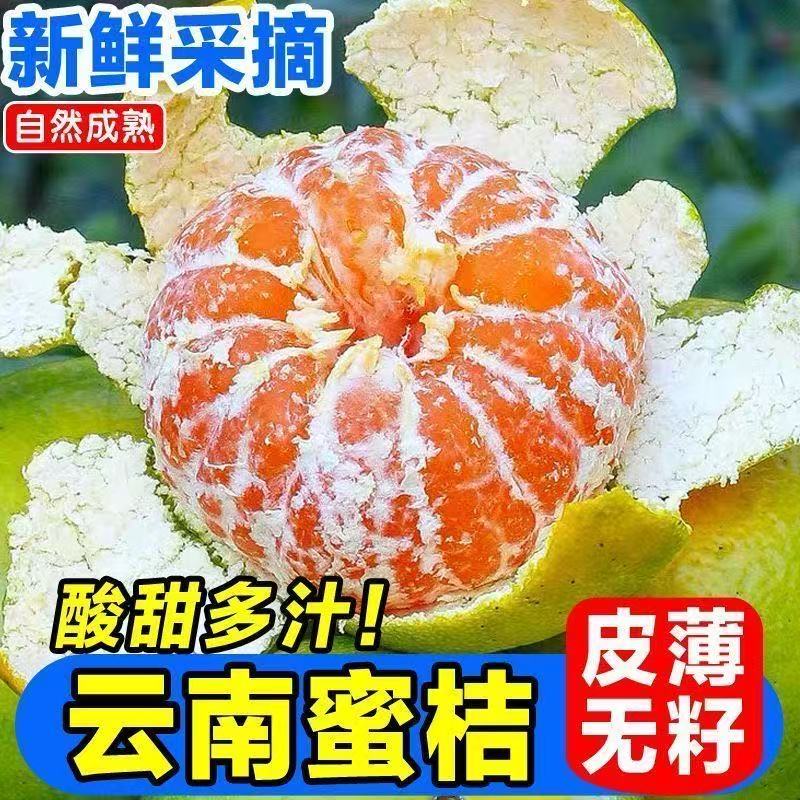 云南青皮无核蜜橘当季新鲜水果酸甜多汁适合孕妇