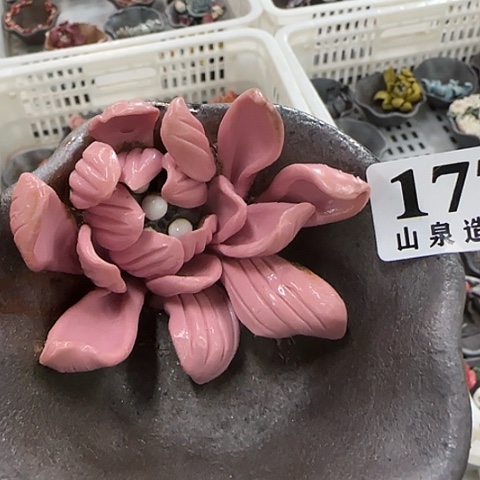 瓷片柴烧柴烧柴烧177