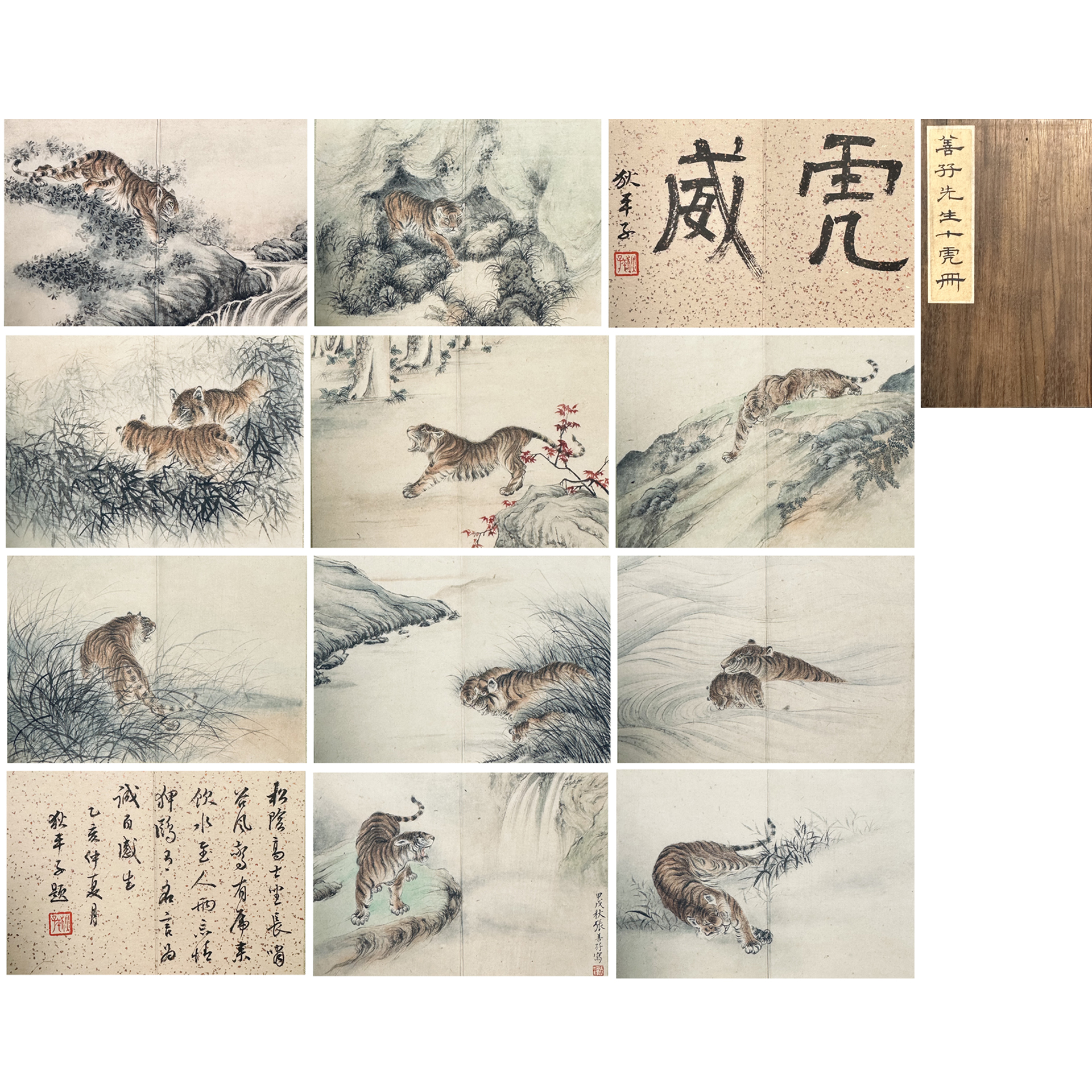 张善孖 1934年作 虎威 册页（十开）狄楚青题签、引首、跋文