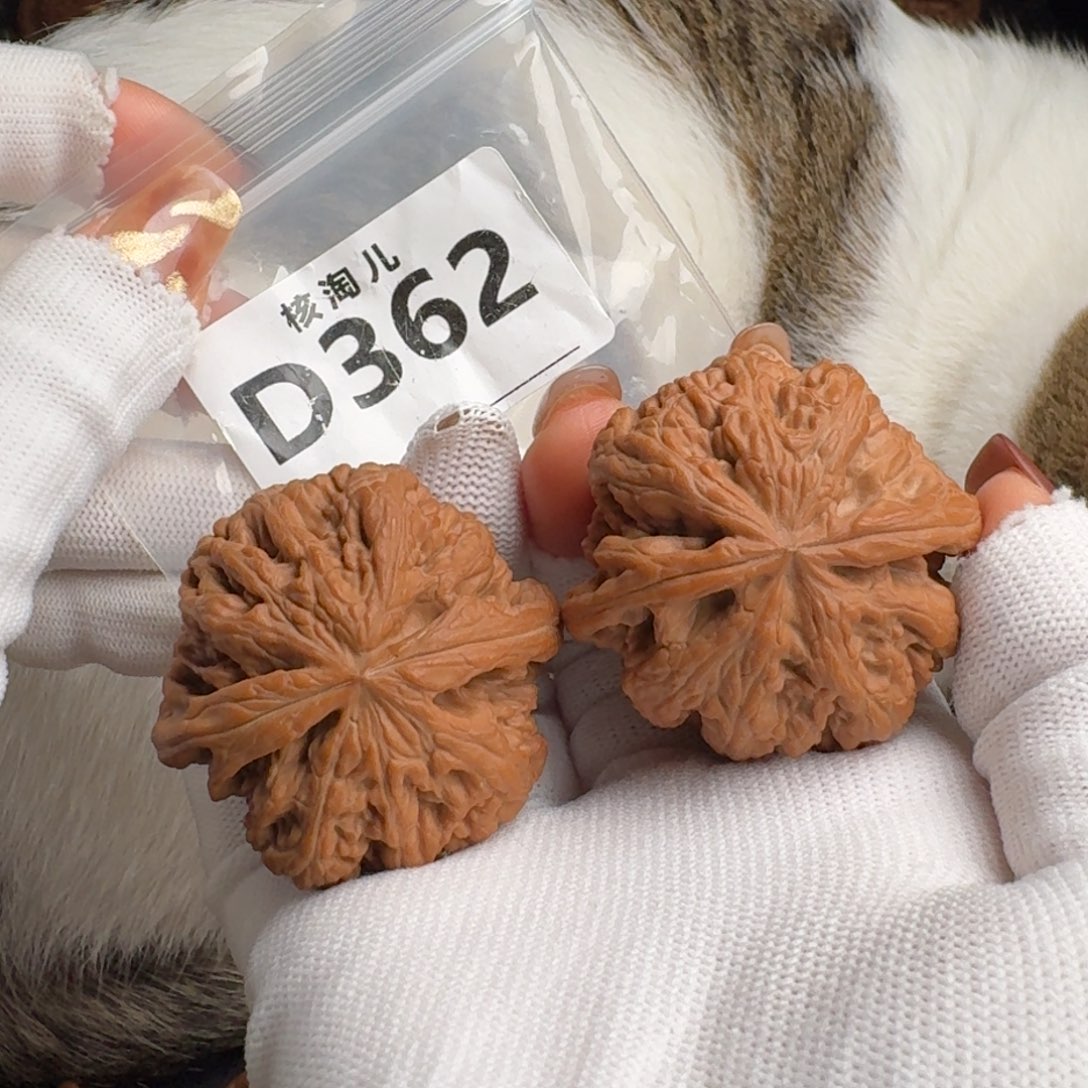 文玩核桃把件45+粗筋D362