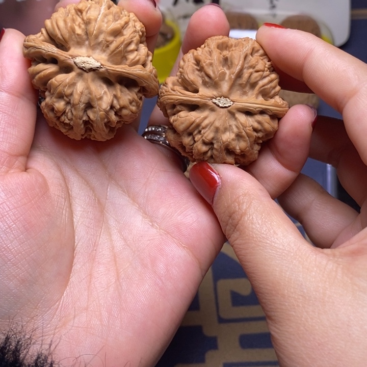 墨***雨核桃45尺➕平谷大粗筋