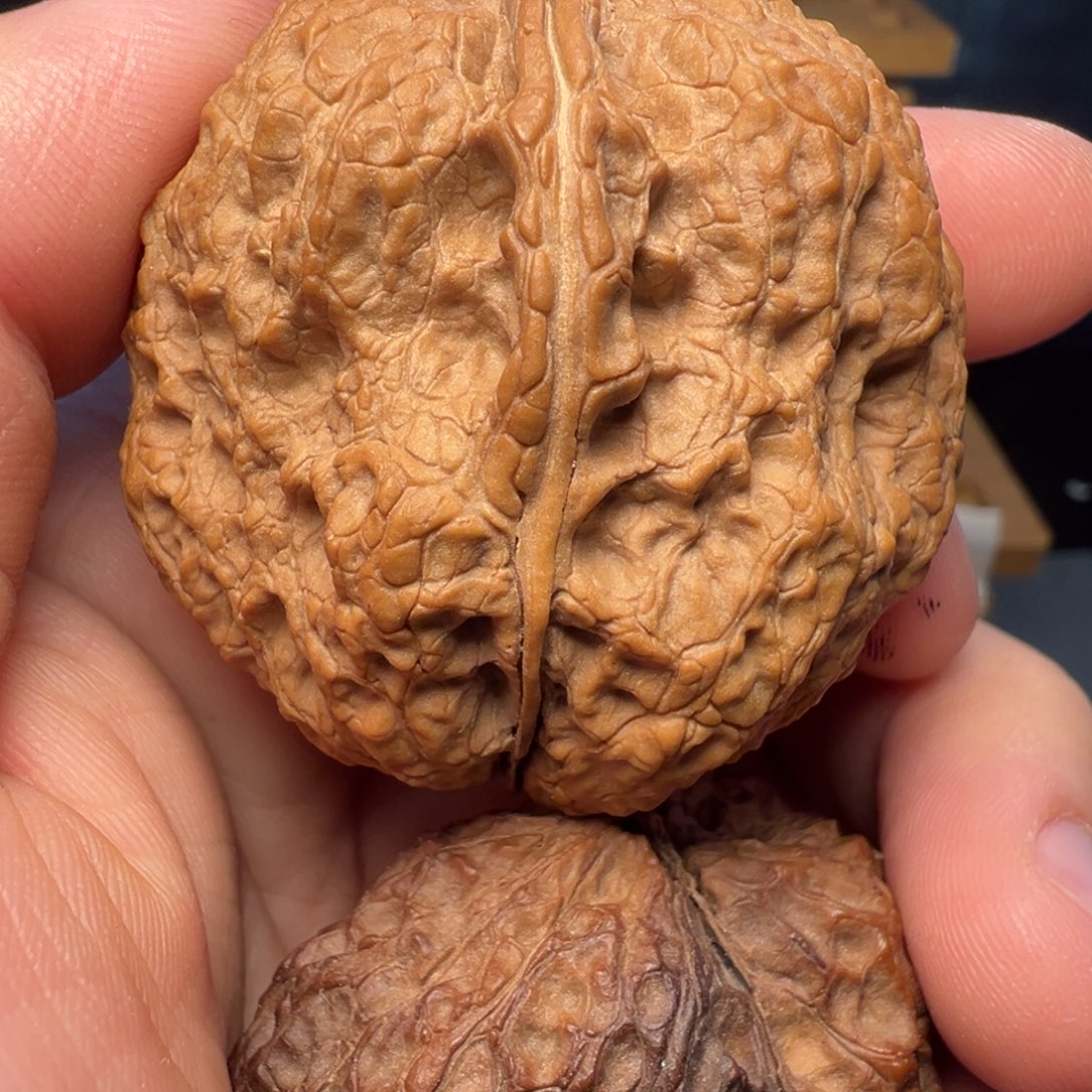 文玩核桃吊坠貔貅金蟾45mm