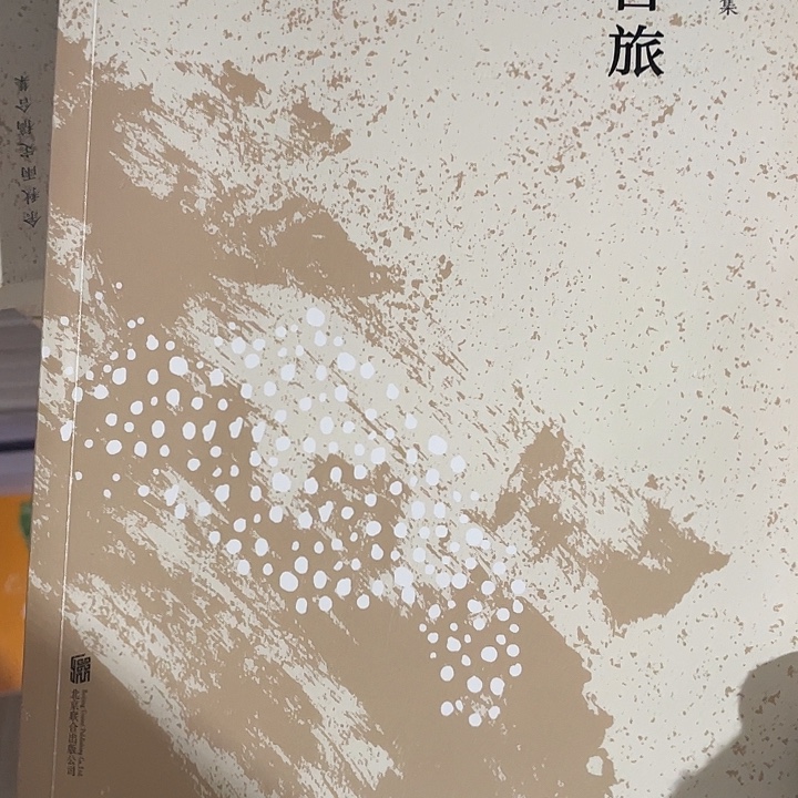 文化苦旅         平装带塑封