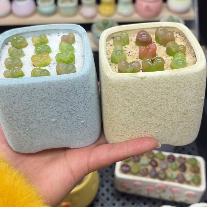 6019零下地区记得拍保温箱