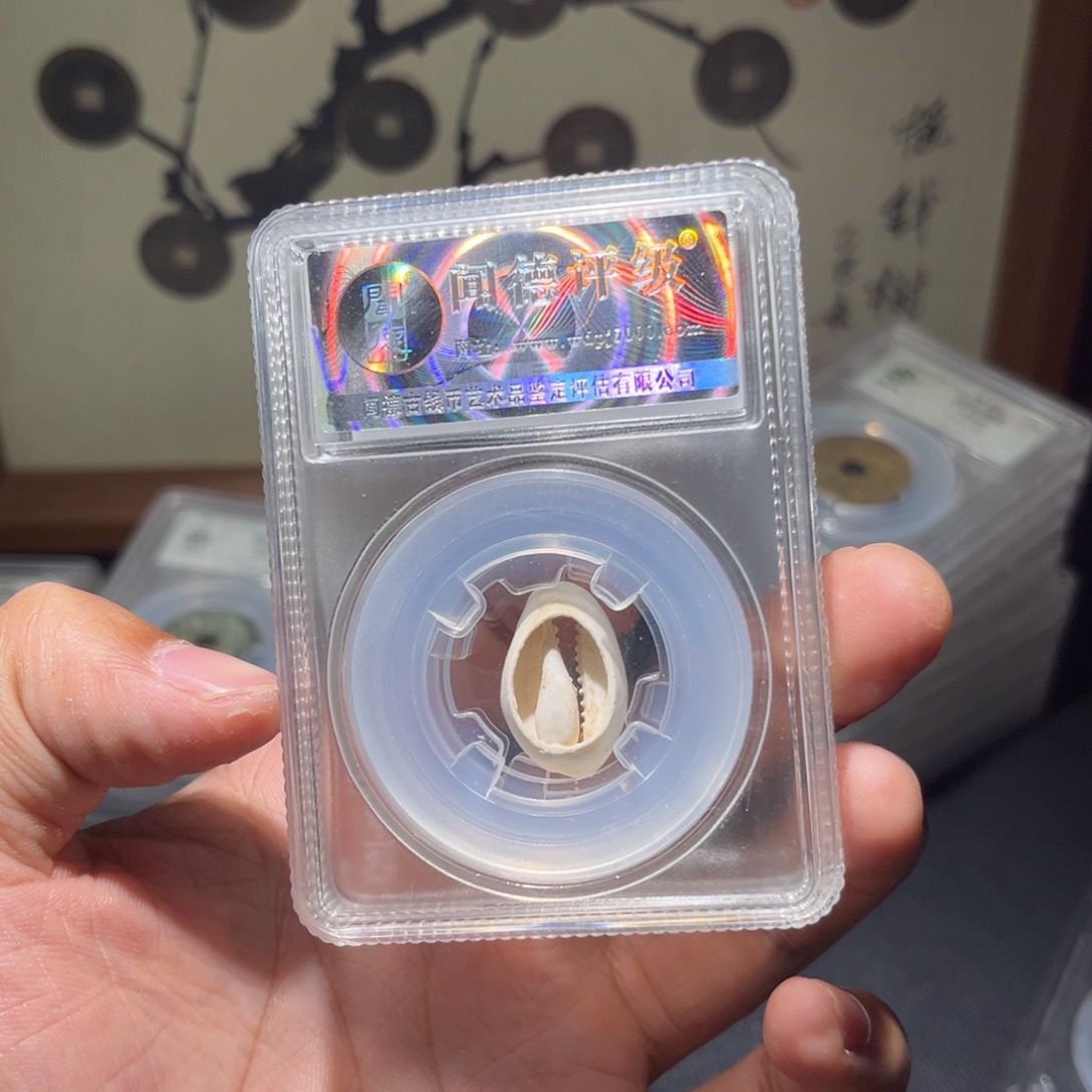 铜贝币古珍福利7777777777