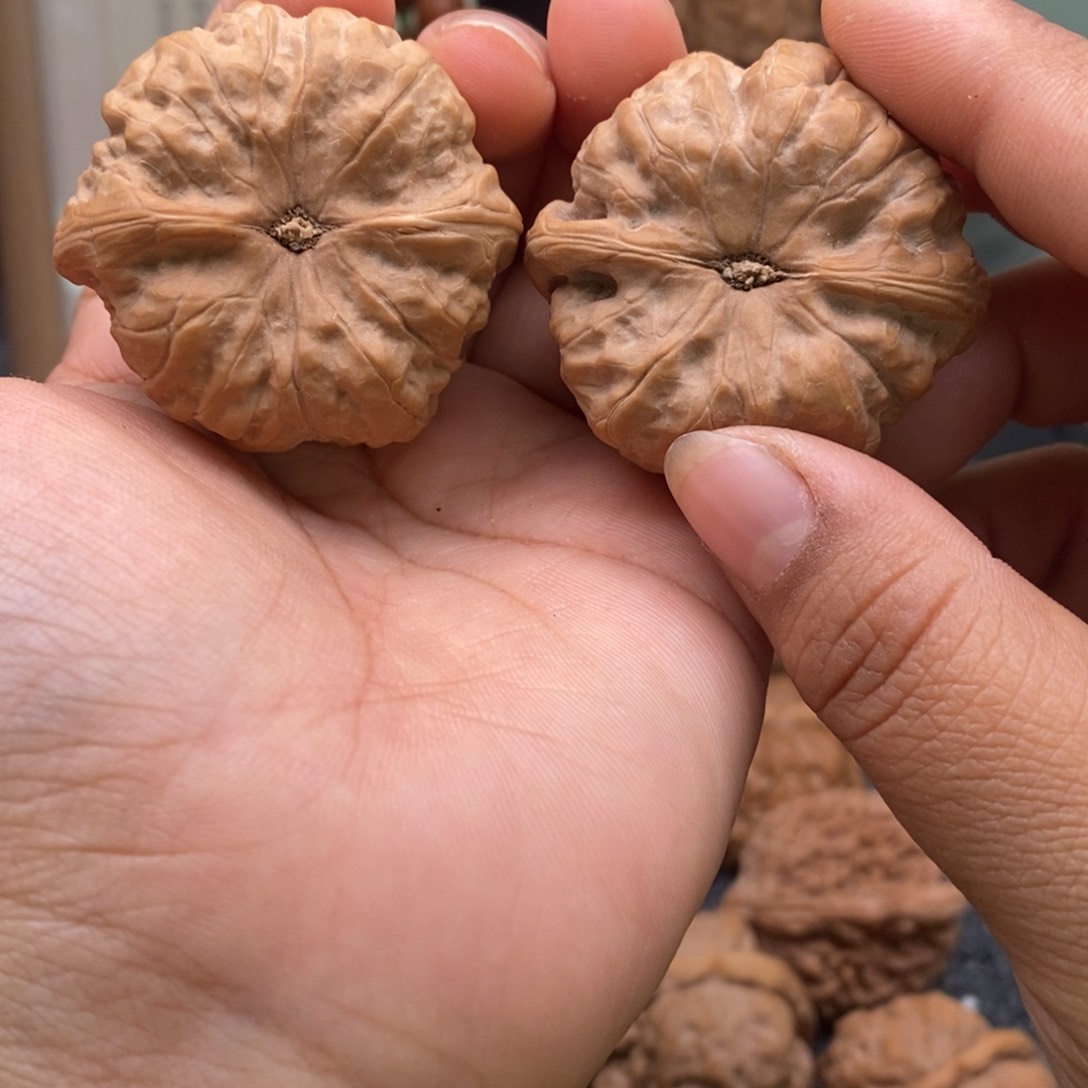 文玩核桃把件42蛤蟆头