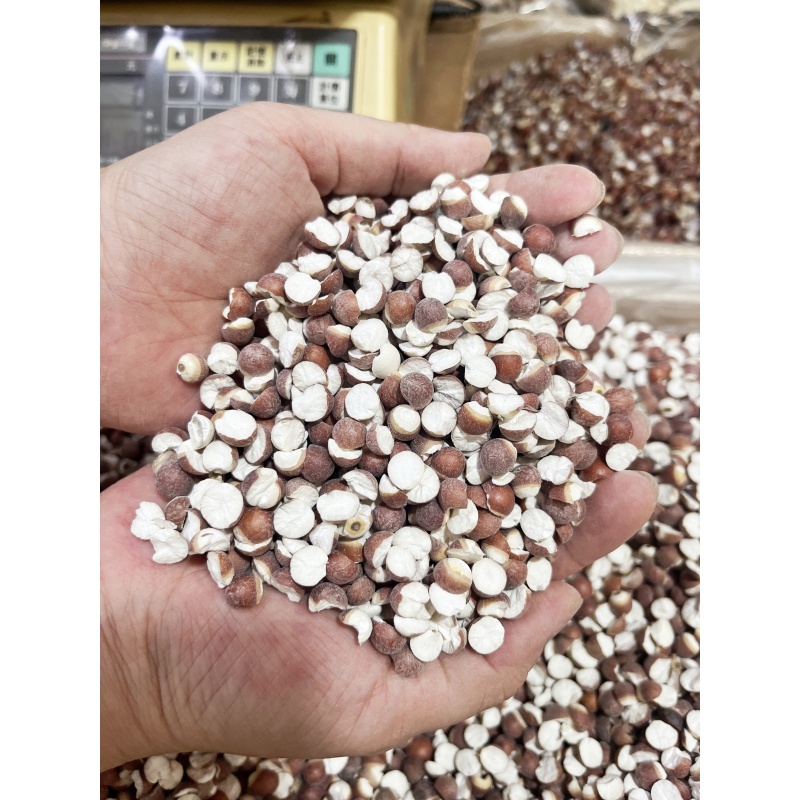   肇庆半开芡实鸡头米新鲜干货500克