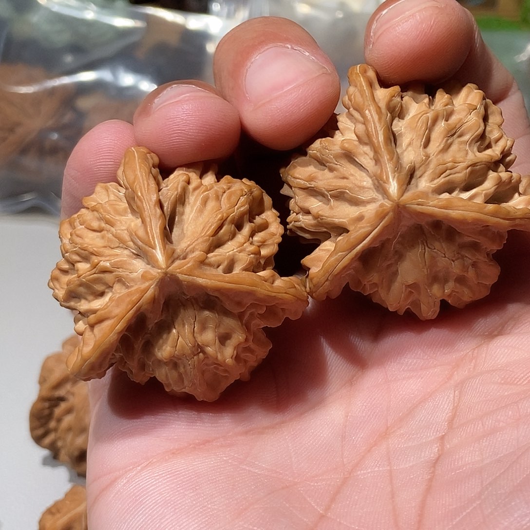 布***克手串/手链核桃43.42
