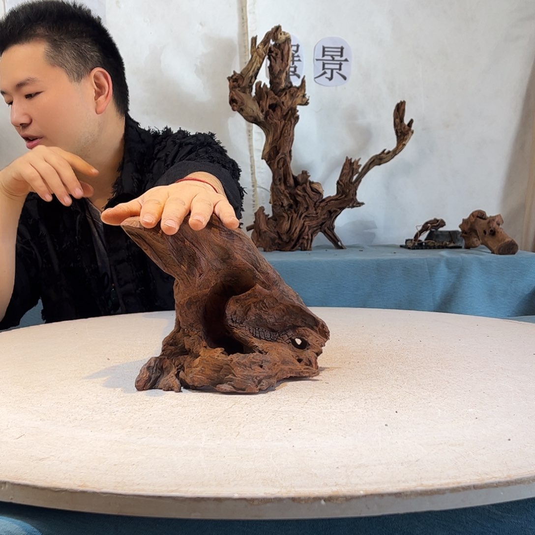 U****I沉木造景寄居蟹造景