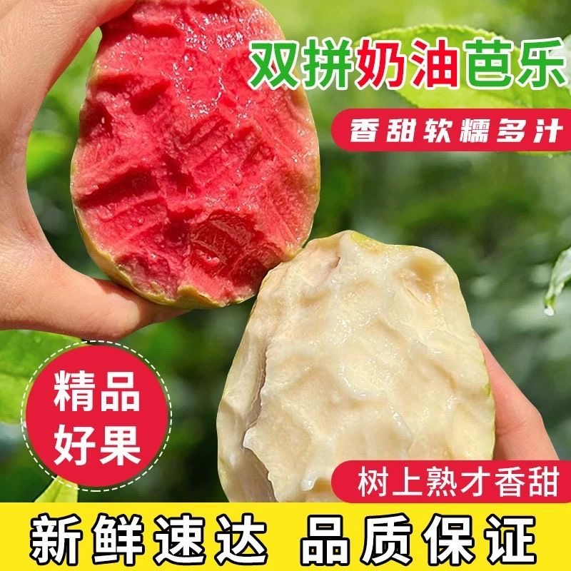 【顺丰/京东】草莓奶油软芭乐新鲜树上熟当 季水果番石榴源产地现发