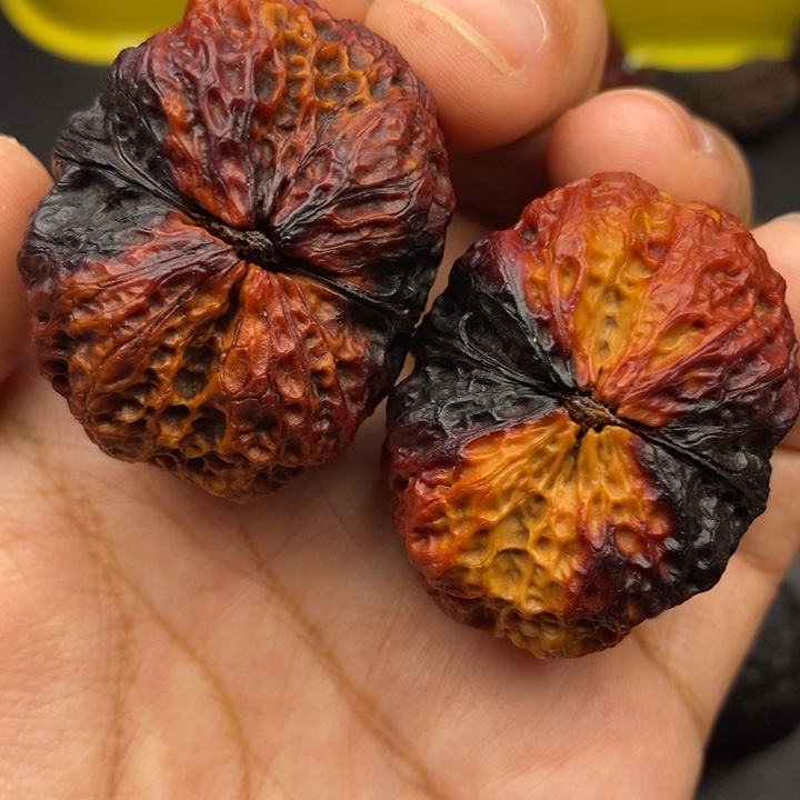 文玩核桃把件40尺肥蟾
