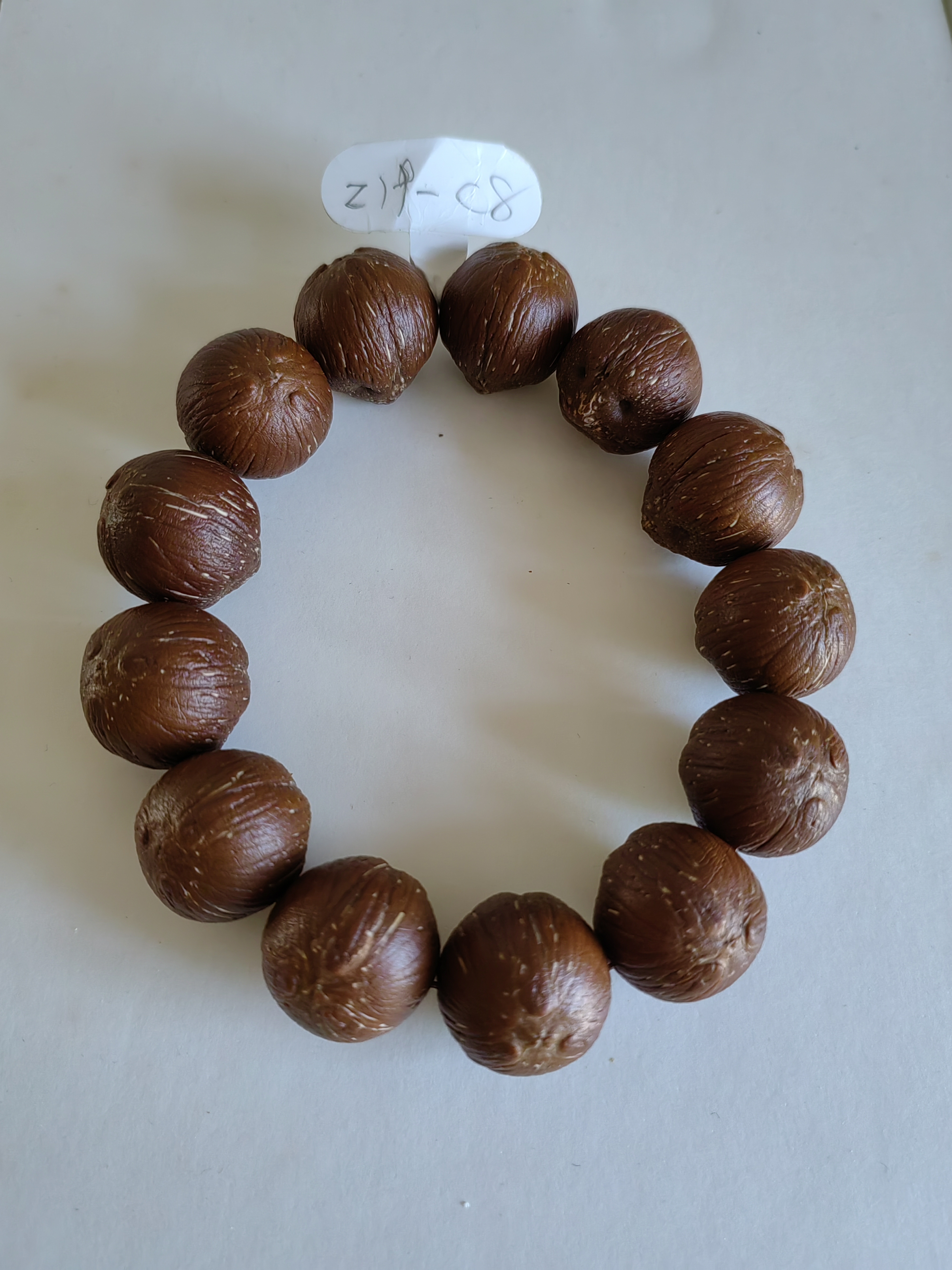 Z19-C8巴西紫金鼠，正圆款19mm