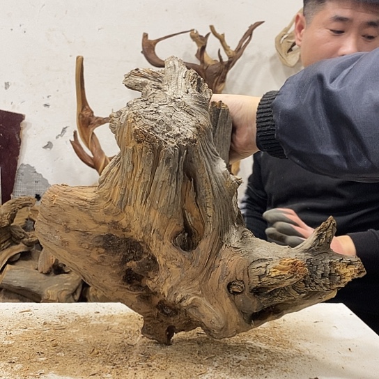 轻***飘柏木我们都是好孩子