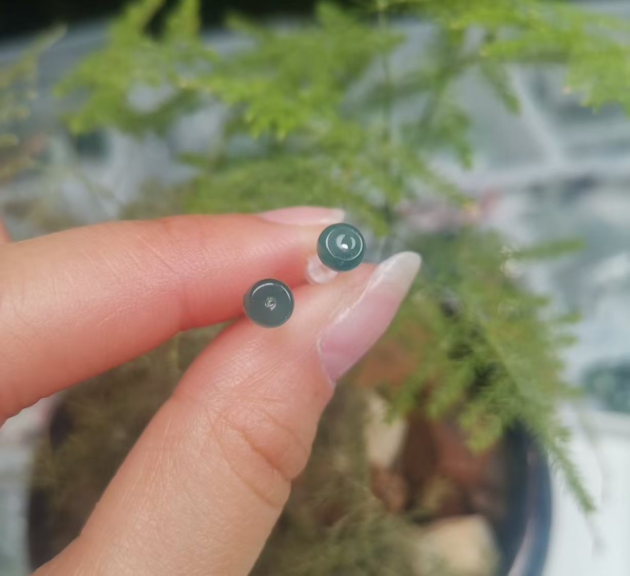 天然危地马拉翡翠A货小耳钉（多样性发其一）时尚