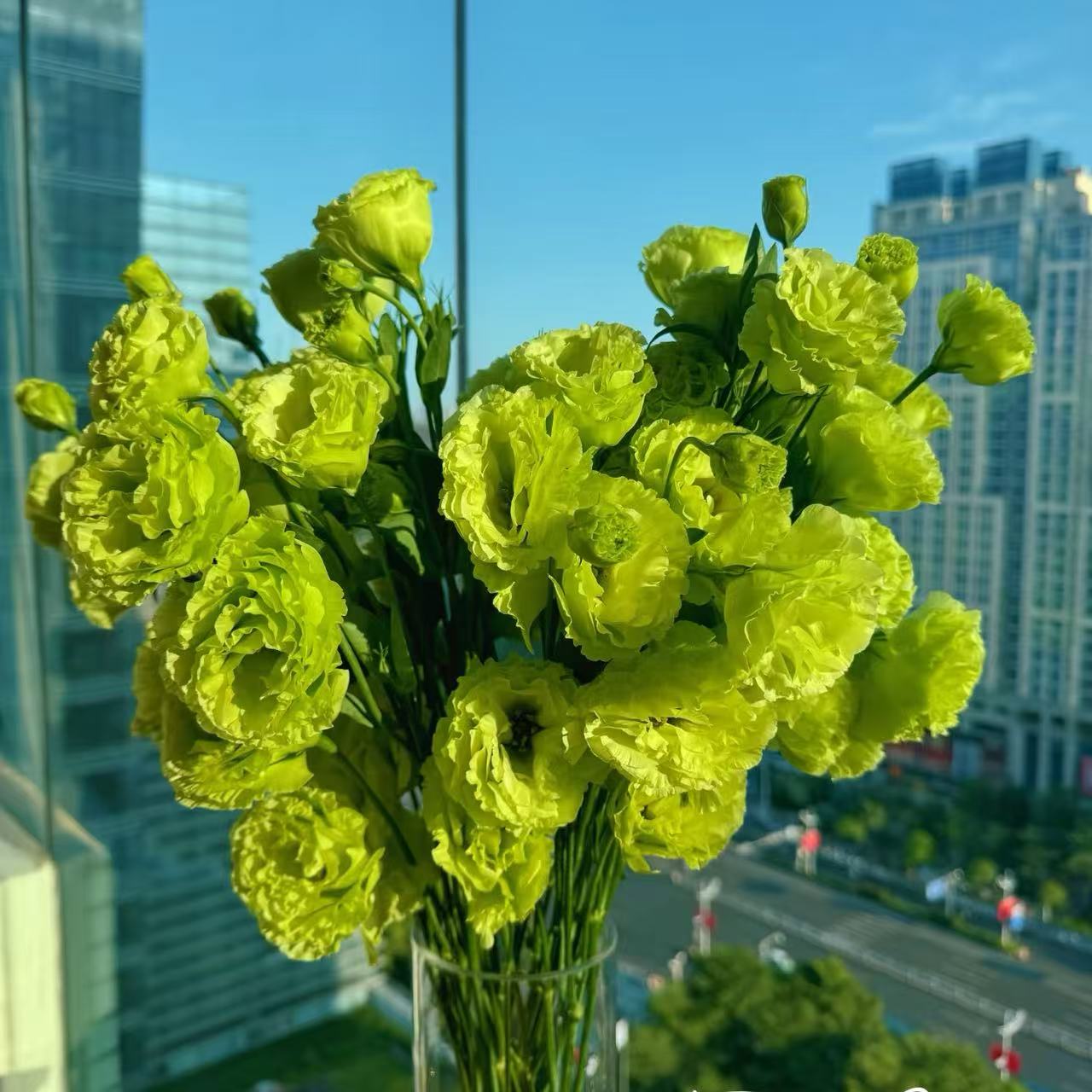 氧花季 翠绿色洋桔梗 无刺玫瑰 收到先醒花 