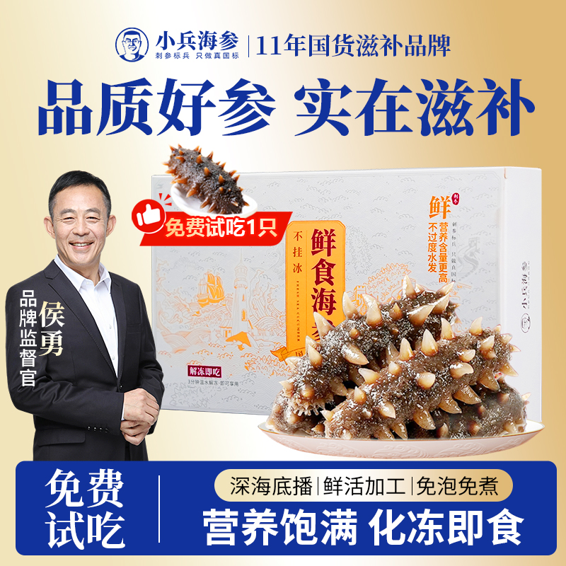 小兵海参 海参【侯勇推荐】鲜食即食海参深海底播辽刺参海参即食