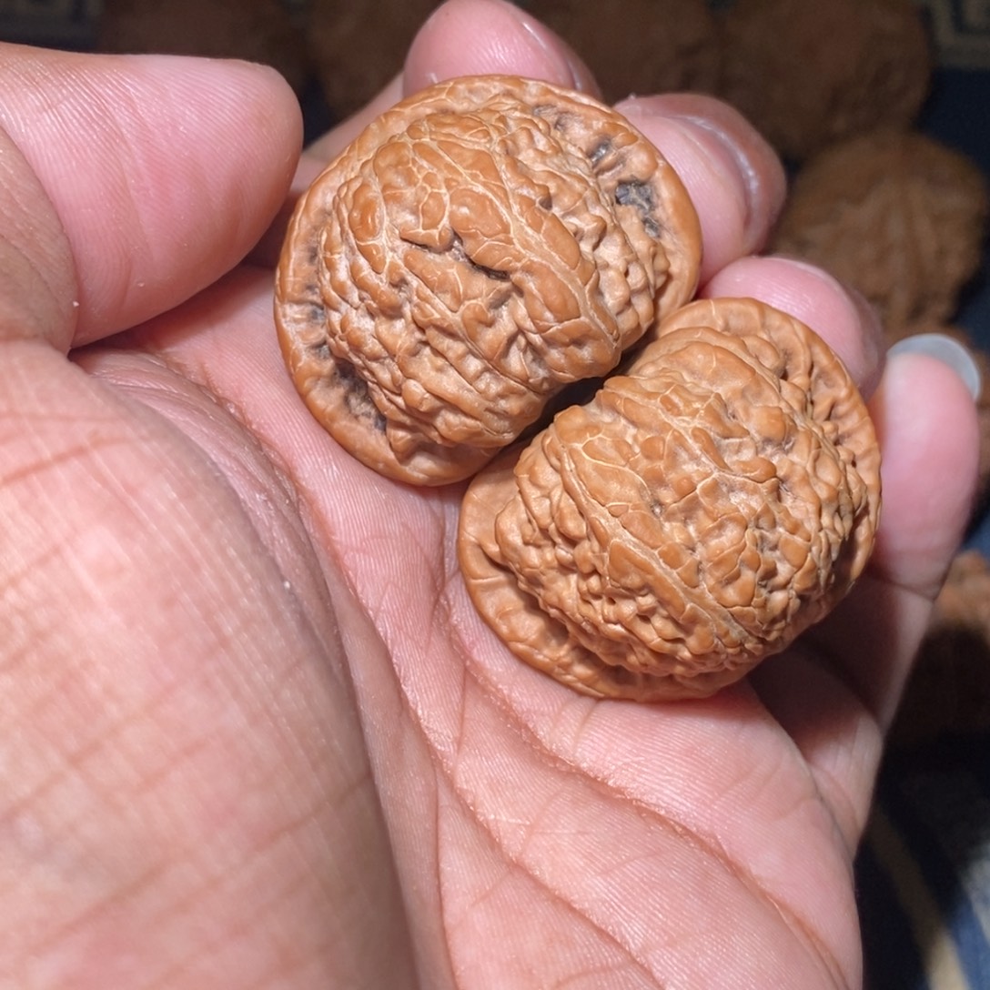 刘***叨吊坠文玩核桃36尺寸全品无修白狮子
