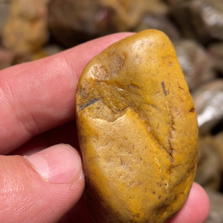 田黄石55克昌化田黄石