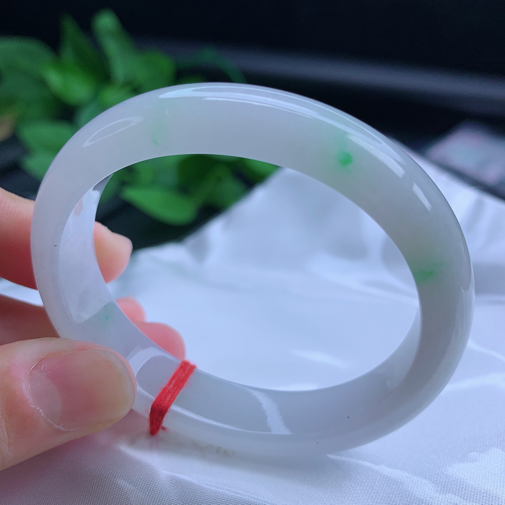 53.8圈贵妃缅甸天然翡翠A货白底青飘阳绿手镯时尚百搭女款玉镯