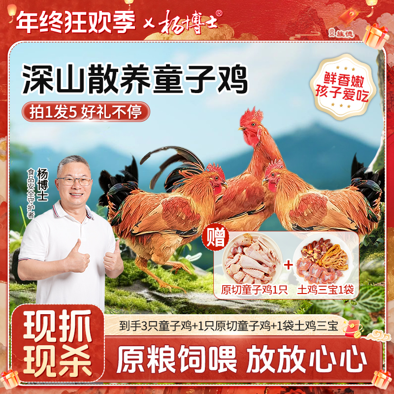【拍1发5】【食安放心童子鸡】杨博士深山放养低脂土鸡仔公鸡新鲜现杀