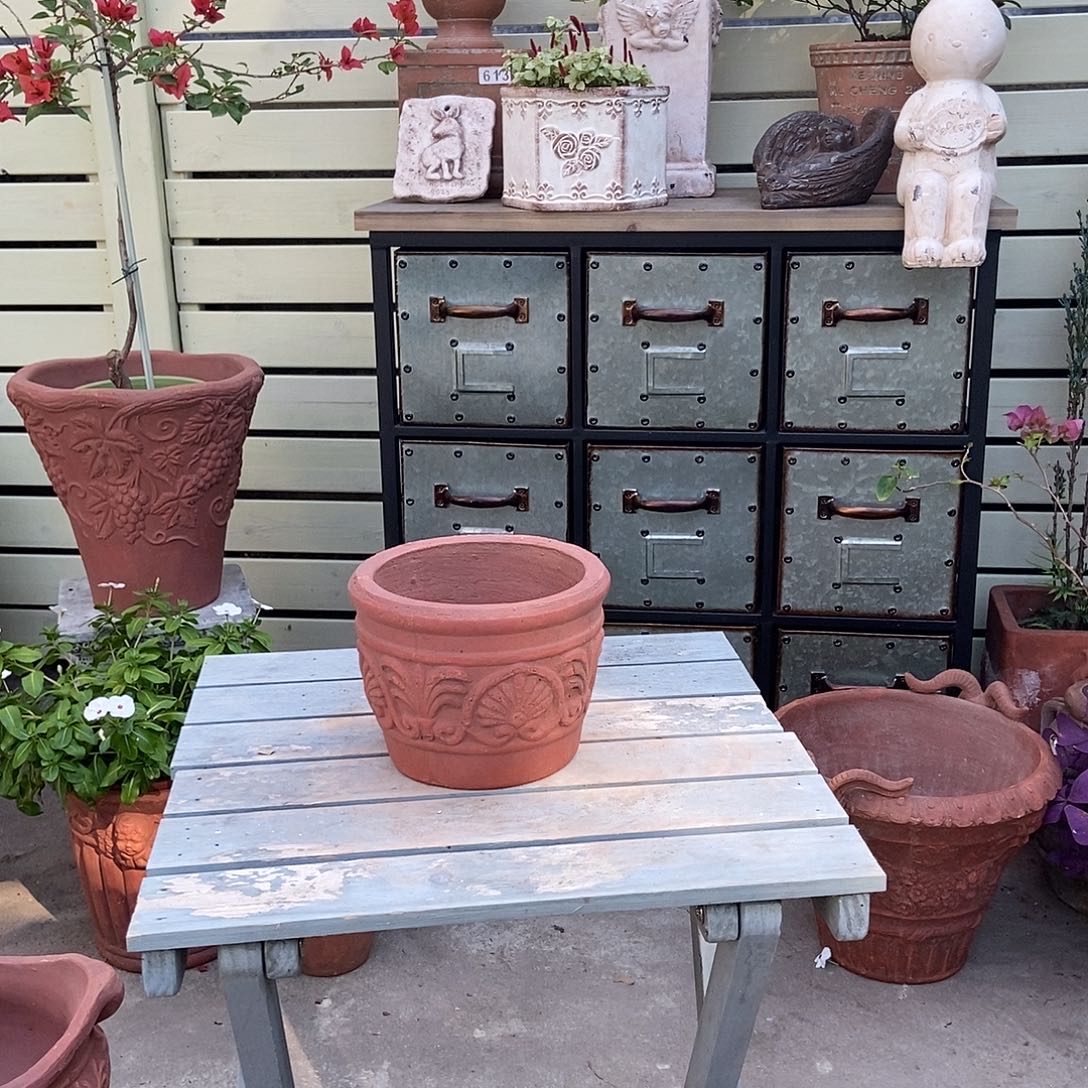 贝壳盆新品口14.5高11