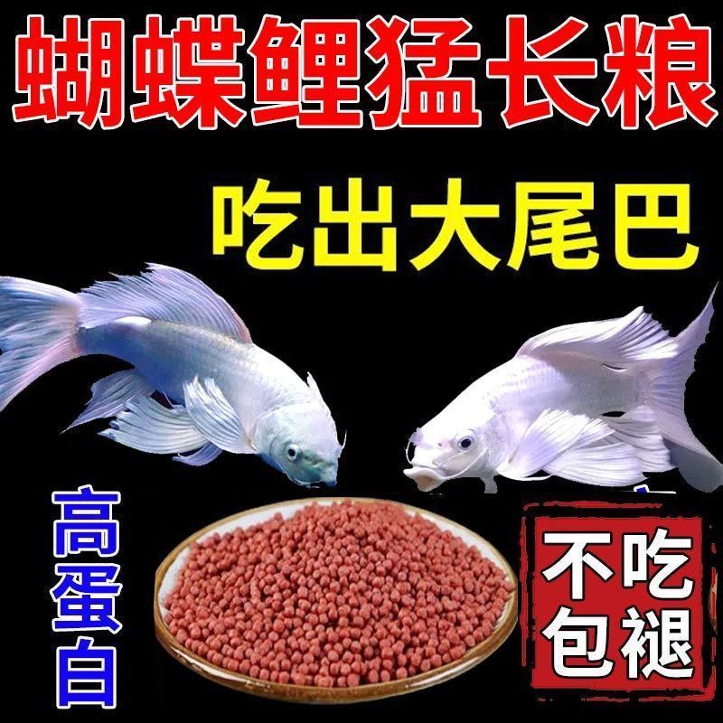蝴蝶鲤锦鲤专用饲料高蛋白上浮增色增艳小颗粒观赏鱼食不浑水