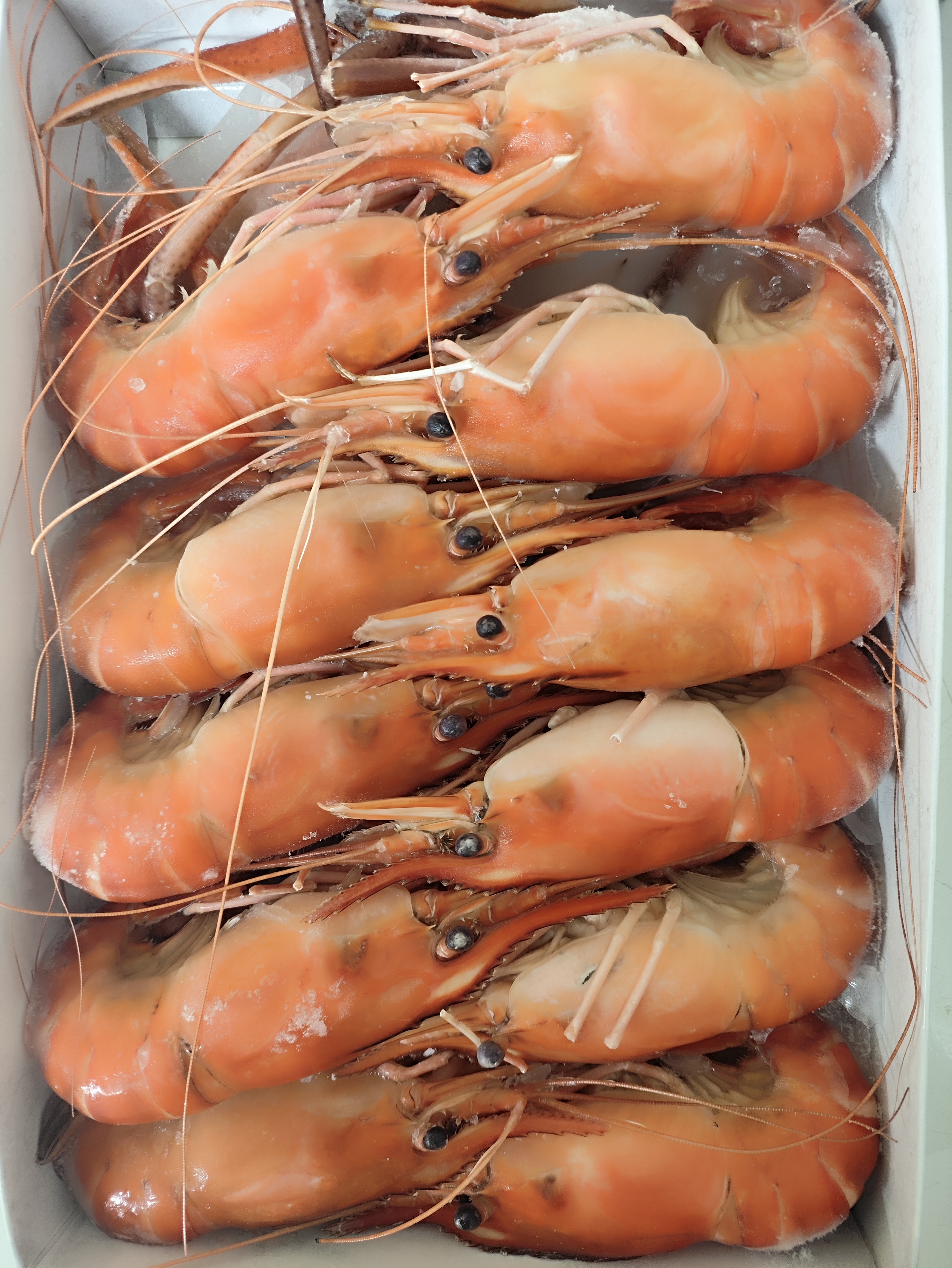 罗氏虾熟冻大号装淡水大虾冷冻大头虾软壳虾熟冻罗氏虾10-11只