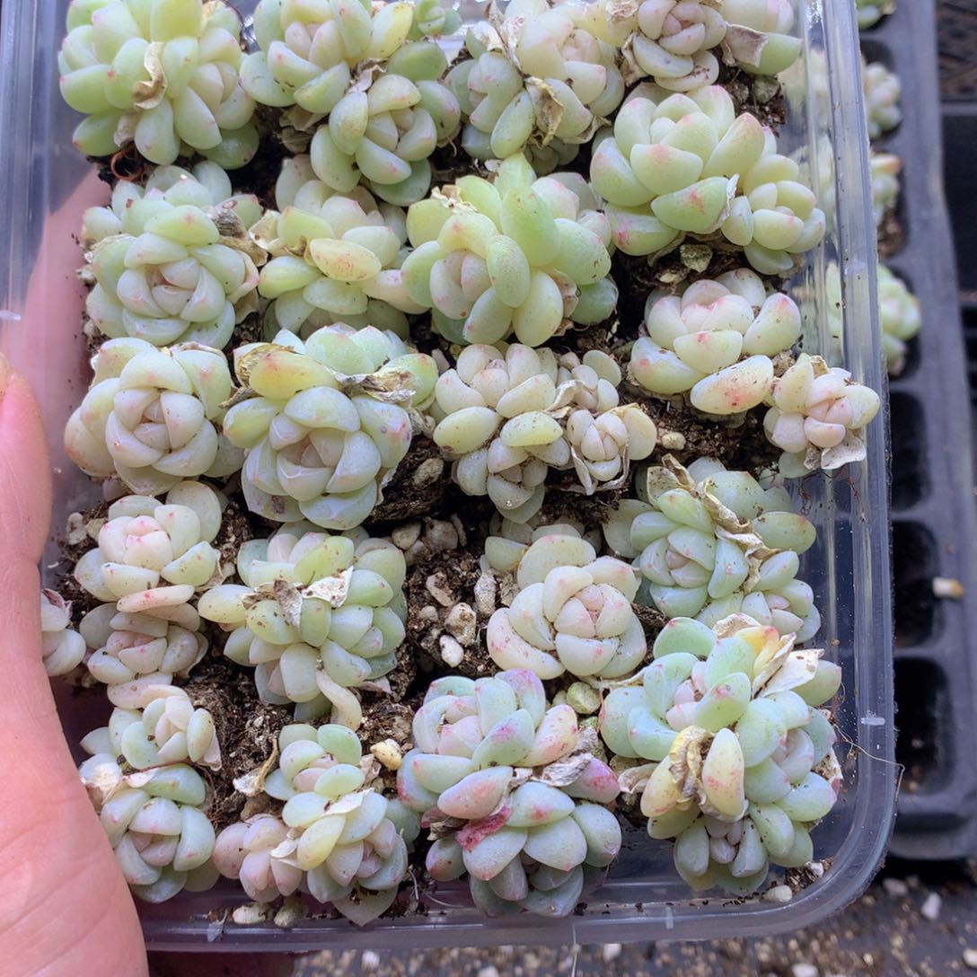 反反复复还是很开心的024