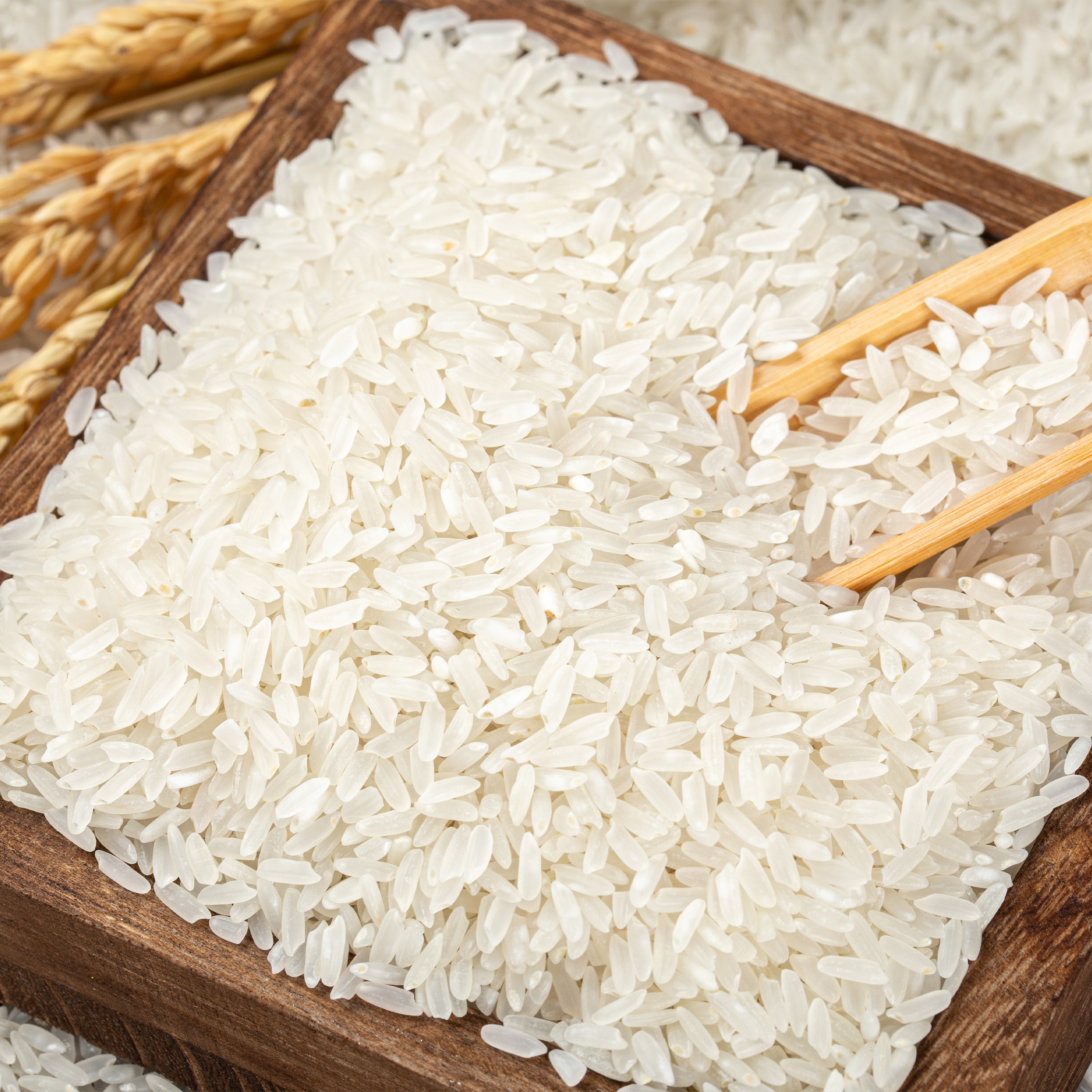 【尝鲜装】林中湖东北五常稻香大米500g