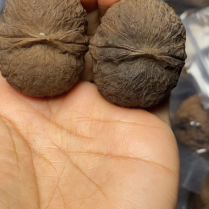 文玩核桃把件云南铁核桃15