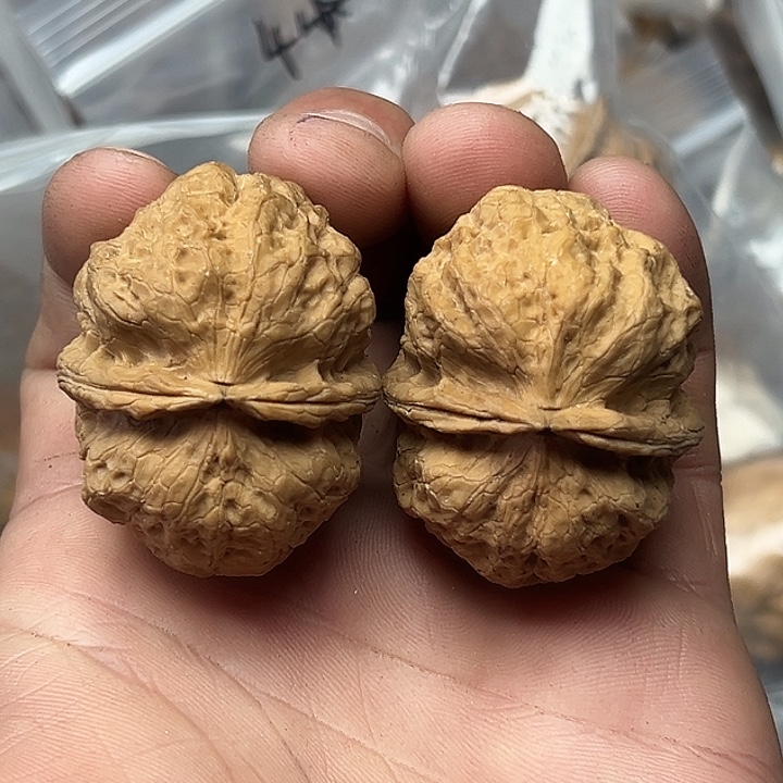 老***猫文玩核桃把件九尾狐43尺同克