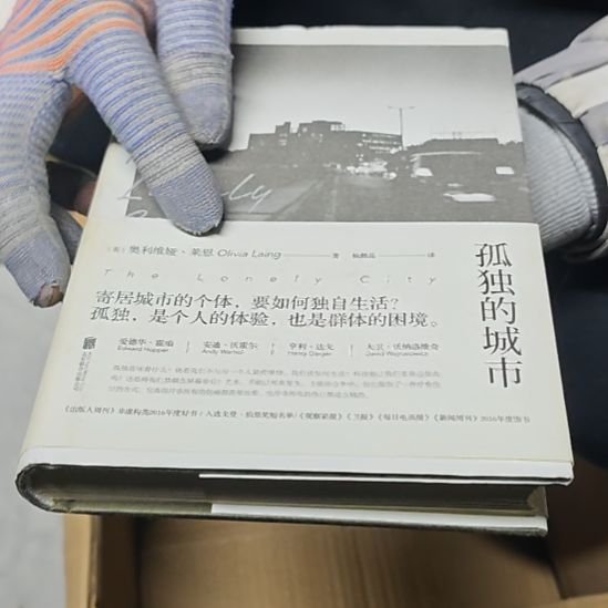 孤独的城市（务必塑封）微瑕品介意勿拍