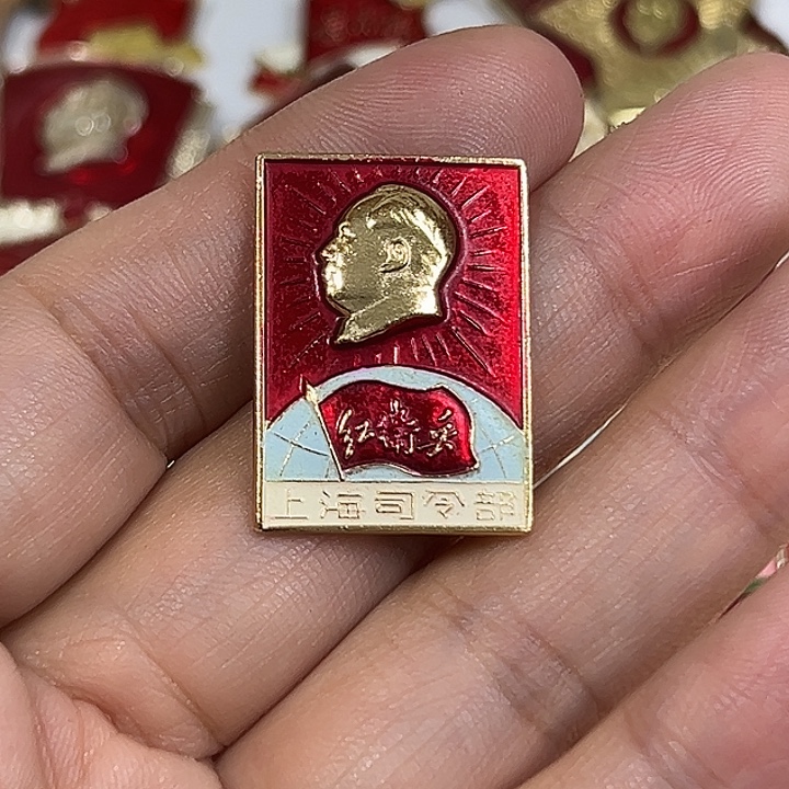 为****其他普通金属纪念章