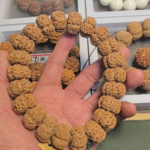 金刚菩提手串五星梅花板王手持，原皮原色，精挑细选