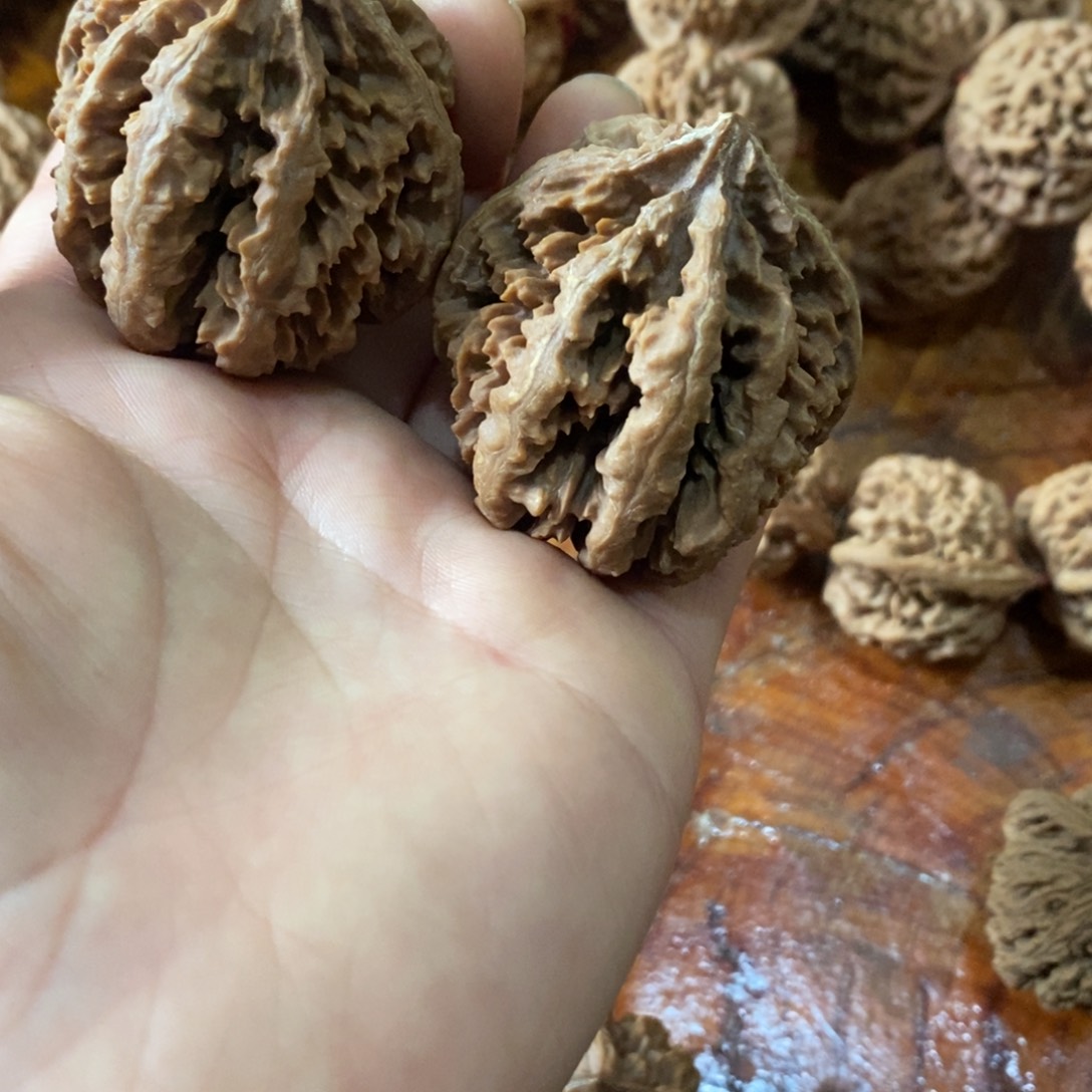 李*辉秦岭南北的地方很有可能在