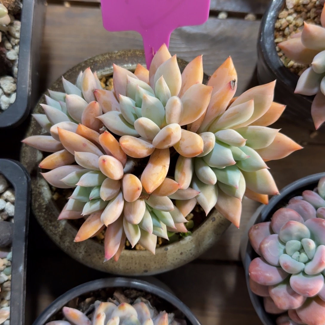 暮光111111111111111111