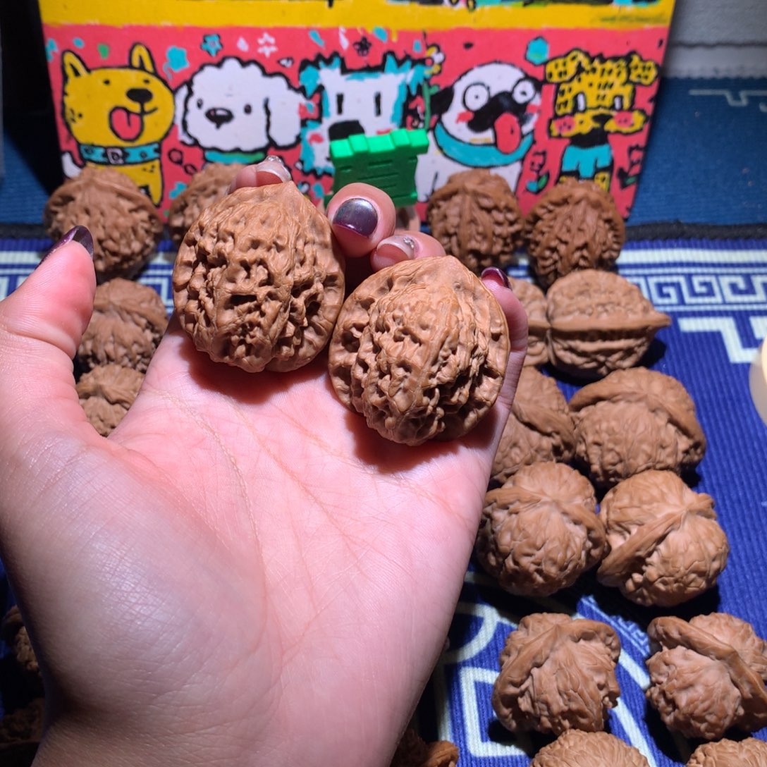 观音肚208 1111111