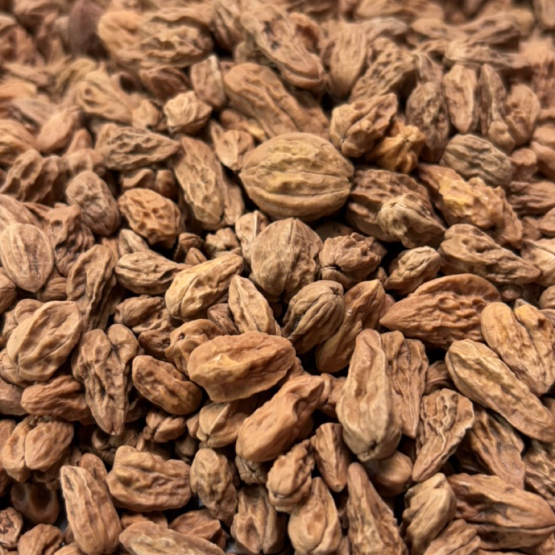 瑕疵小异形散籽通货100颗