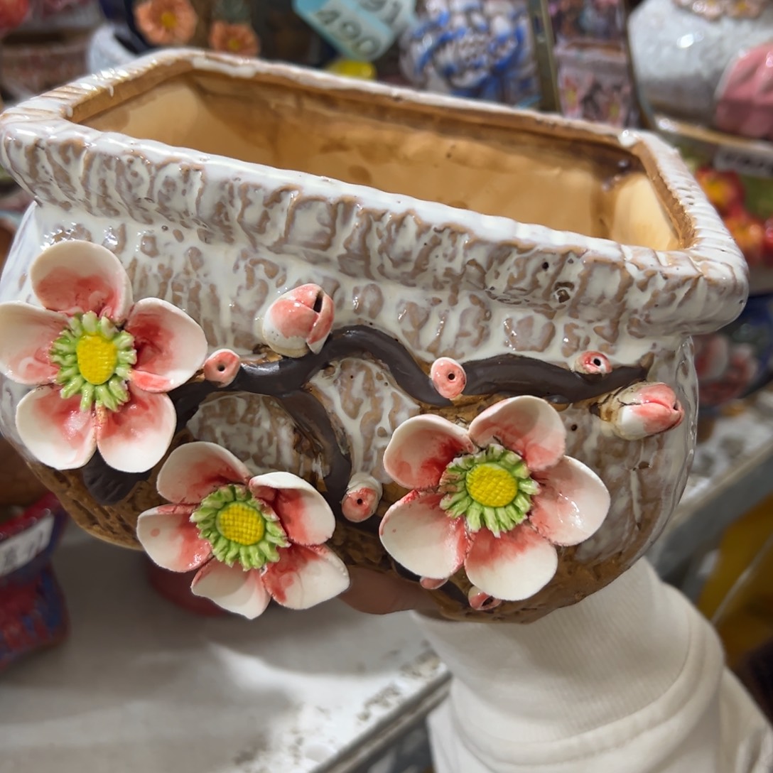 满20发秒拍秒退拉黑花盆