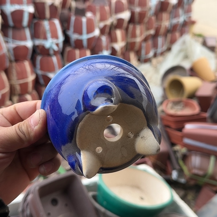 一天只喝一点奶茶和酸奶我也能快乐起来哈哈好快乐呀笑拉