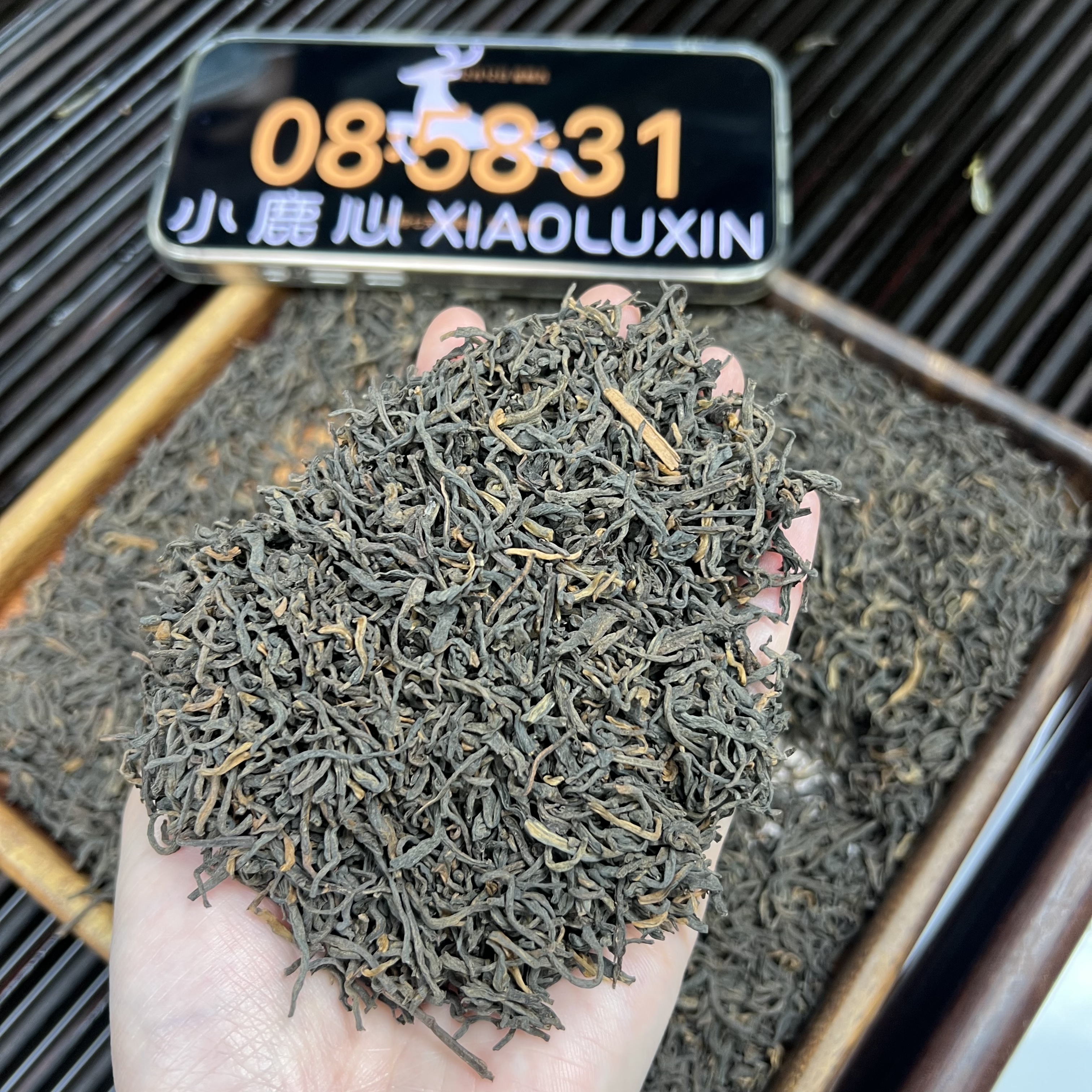 果香六堡茶 小鹿收茶 黑茶 六堡茶  12月12