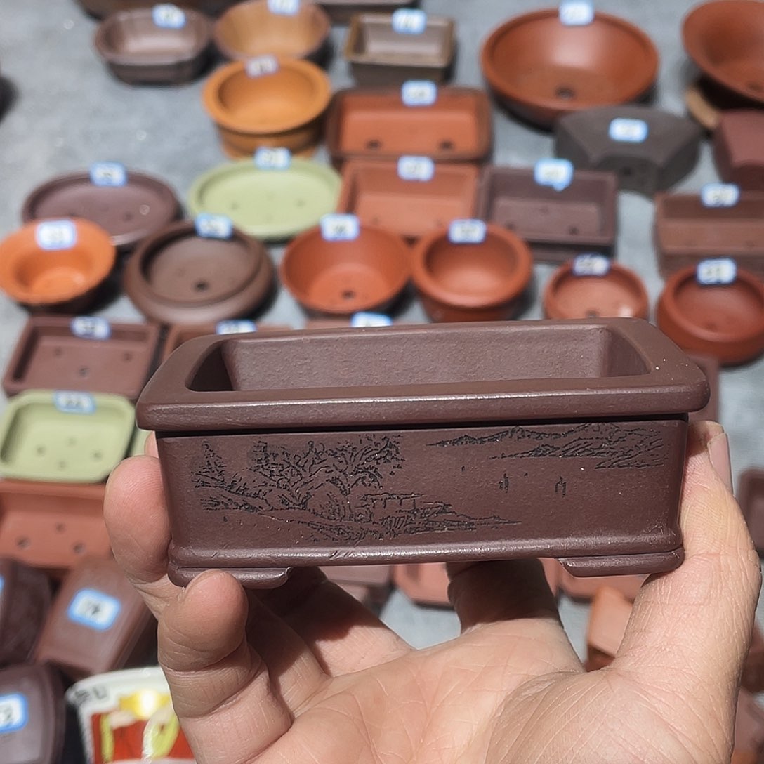 紫砂紫砂小盆微瑕8.5