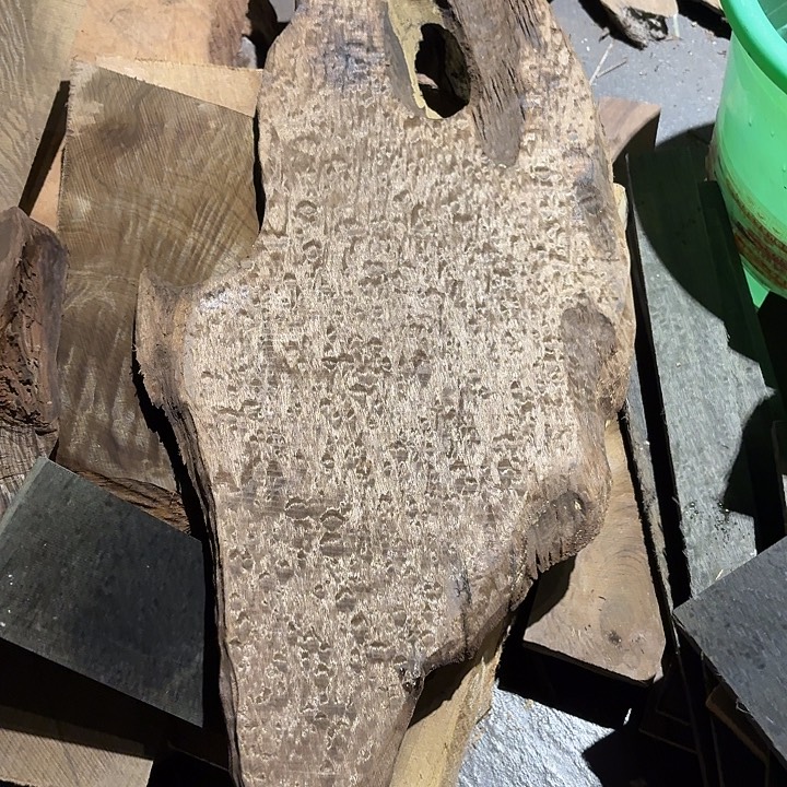残***痕四川小叶金丝楠原材料