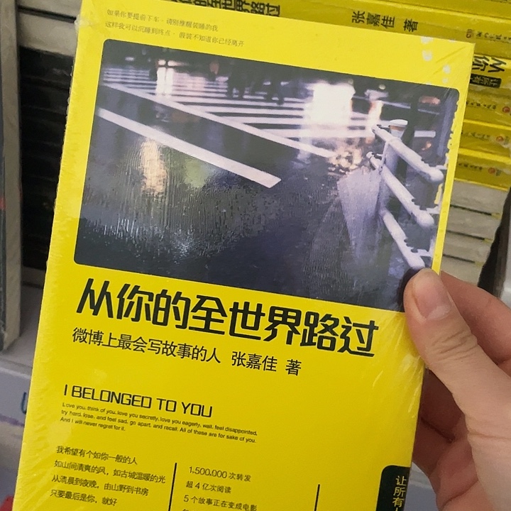 从你的全世界路过 平装带塑封