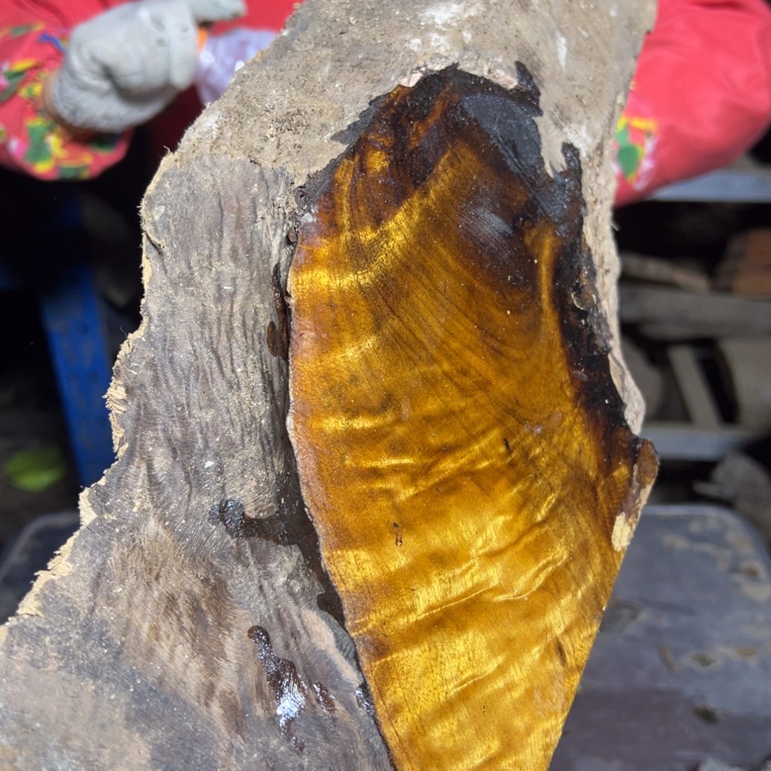 顺***水金丝楠222222222222222222