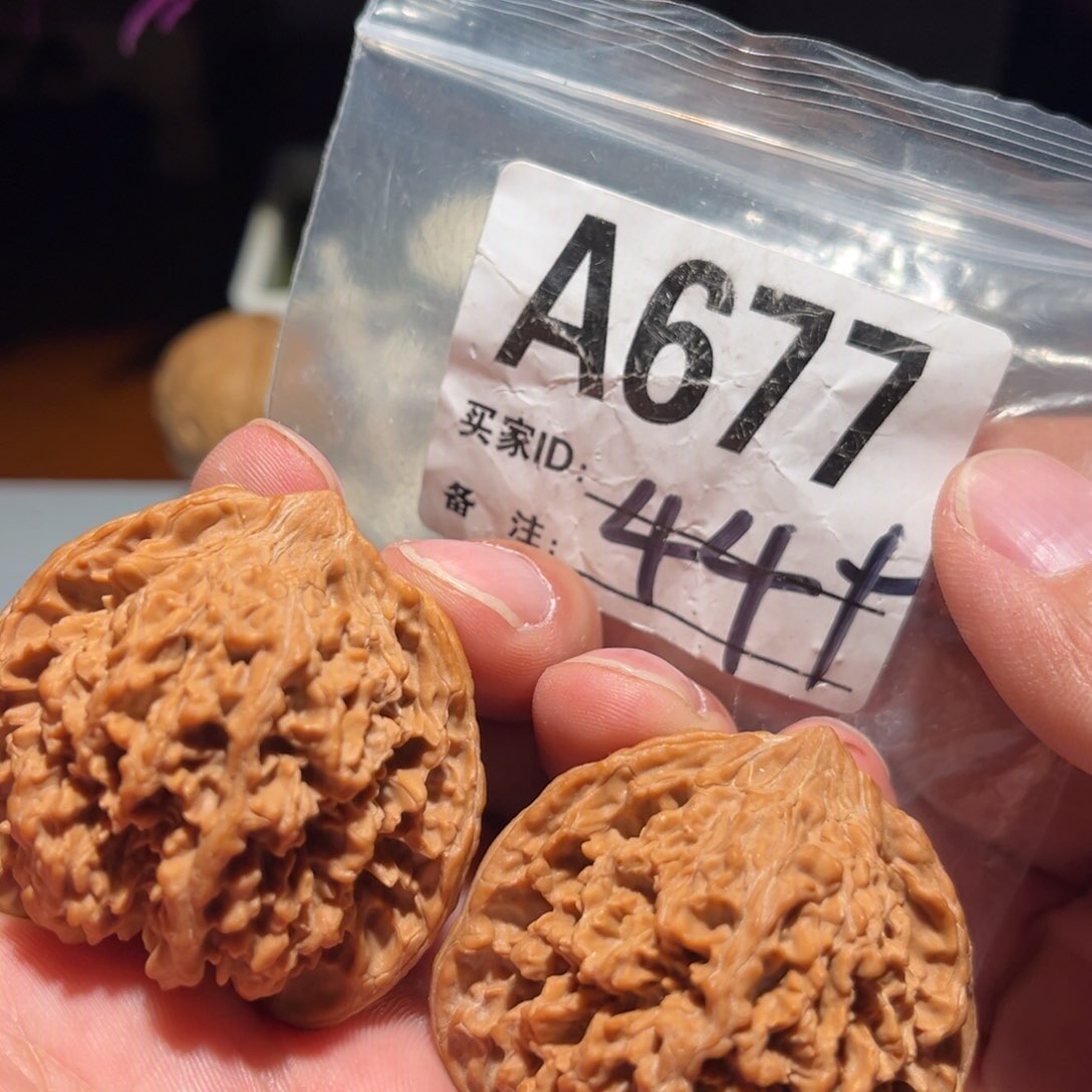 文玩核桃把件44全品满天星