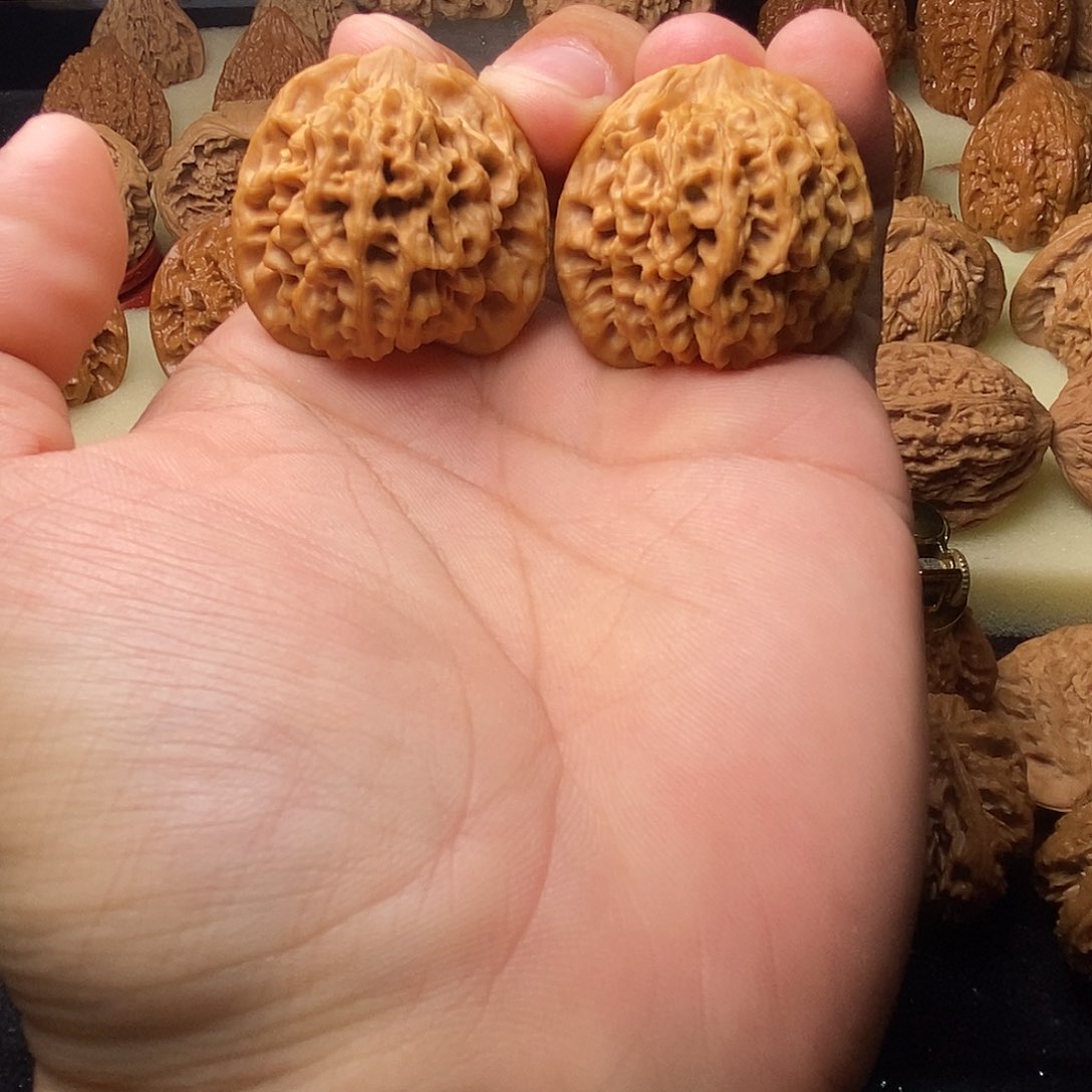 文玩核桃把件秦闷36➕