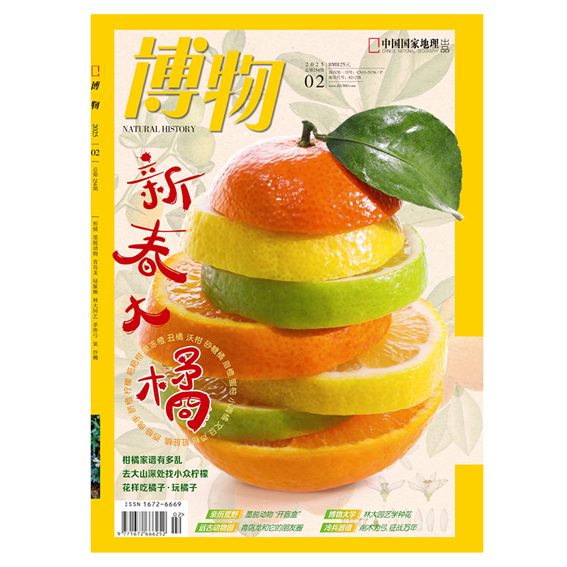 中国国家地理《博物》2025年2月杂志 橘主题 青少年趣味科普读物
