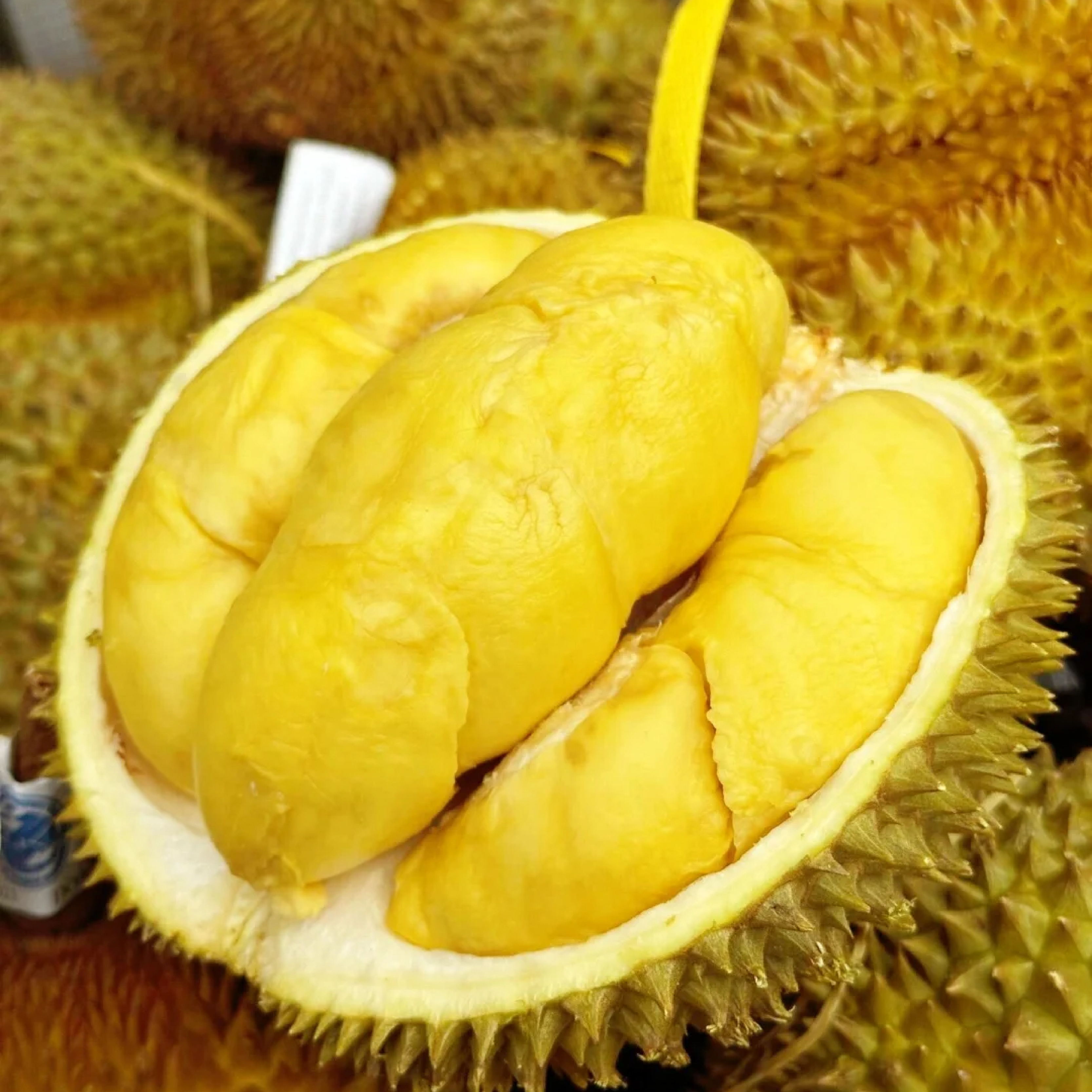 【金枕榴莲】冷冻果肉-新鲜空运树熟核小一果一重榴莲同城送金枕泰国